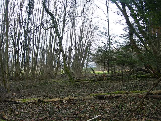 le  Specie  invernali  del  Leimental